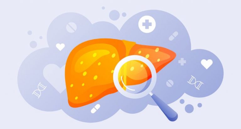 An illustrated image of a liver with a magnifying glass over it.